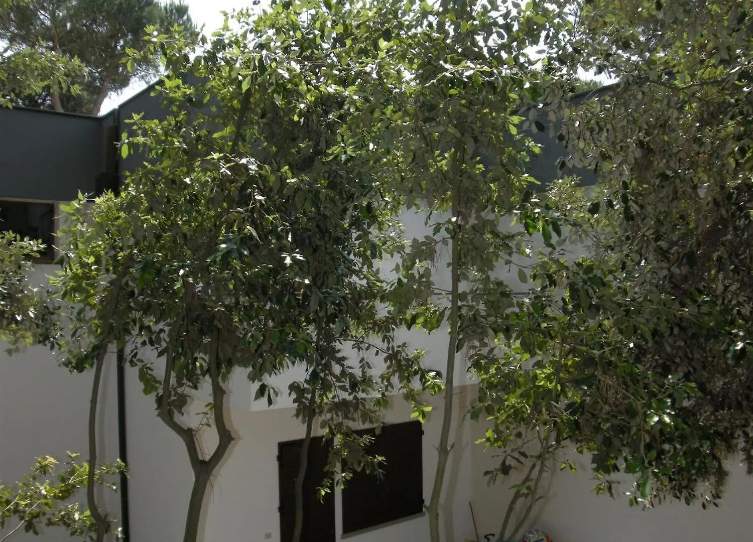 Modern 2 Bedroom Flat Near Rosolina Mare Beach